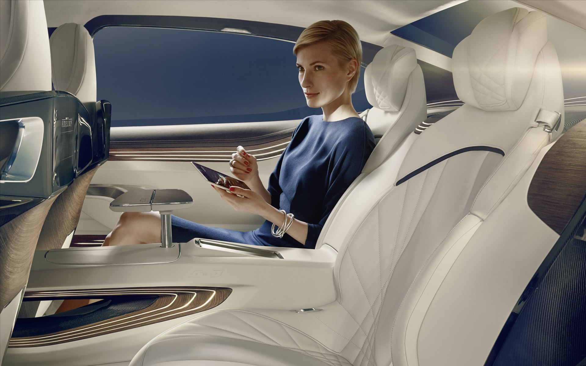 BMW Vision Future Luxury Concept 2014(߿Ƽ)(ֽ19)