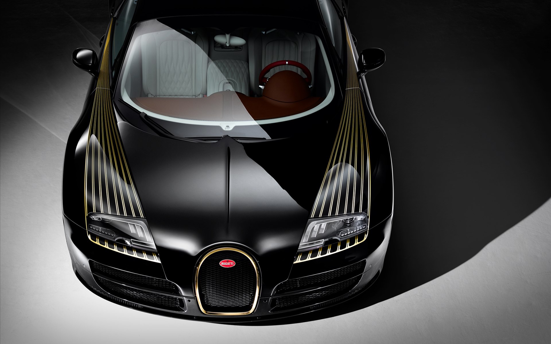 Bugatti Veyron Black Bess 2014ӵ(ֽ5)