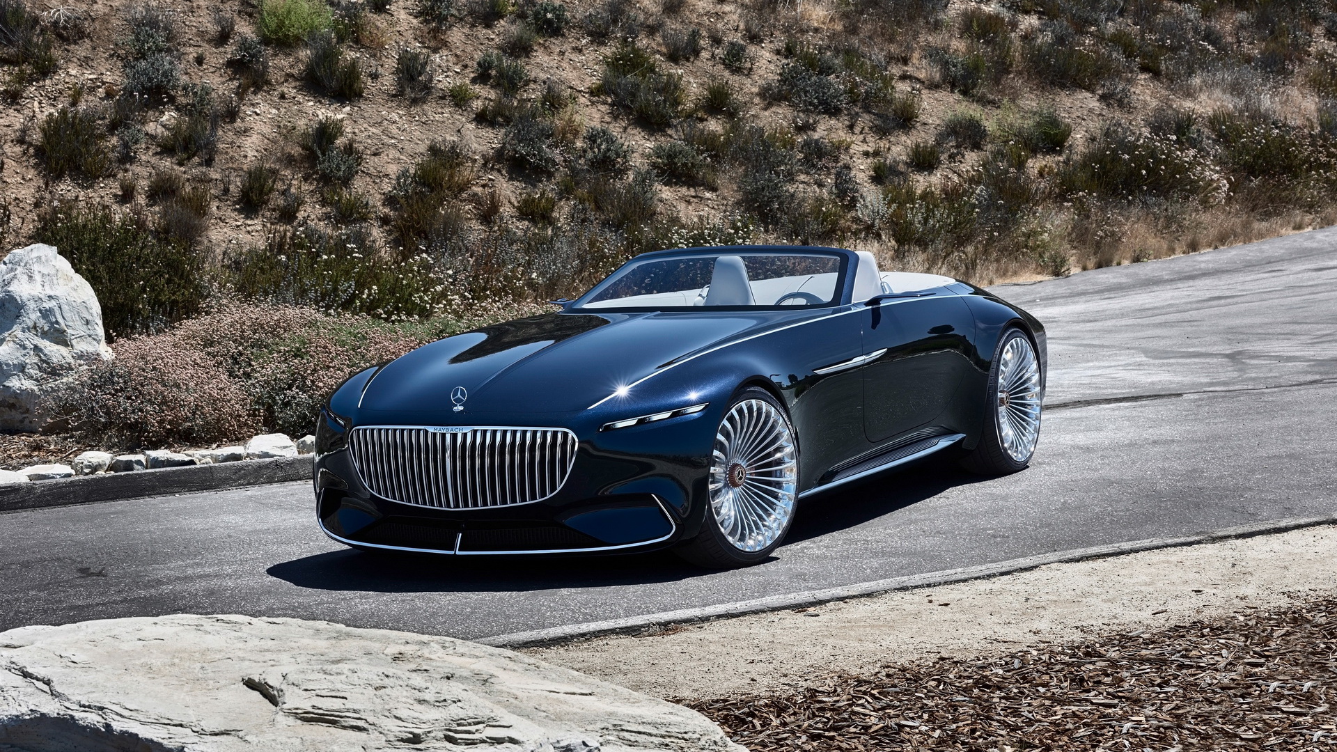 2017 Vision Mercedes-Maybach 6 Cabriolet(ֽ10)