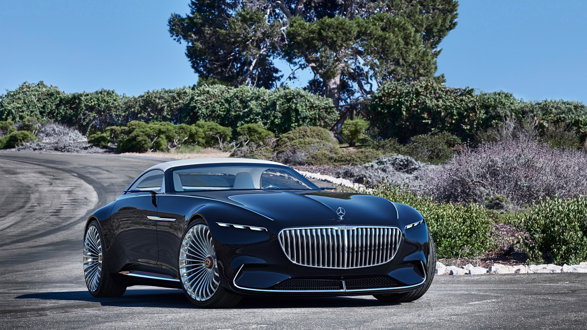 2017 Vision Mercedes-Maybach 6 Cabriolet(ֽ11)