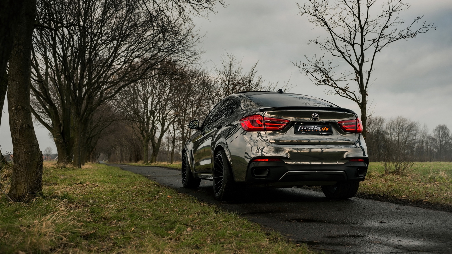2018 fostla.de BMW  X6 M50D F16(ֽ7)