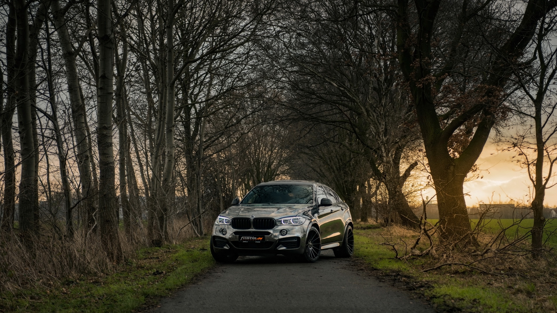 2018 fostla.de BMW  X6 M50D F16(ֽ9)