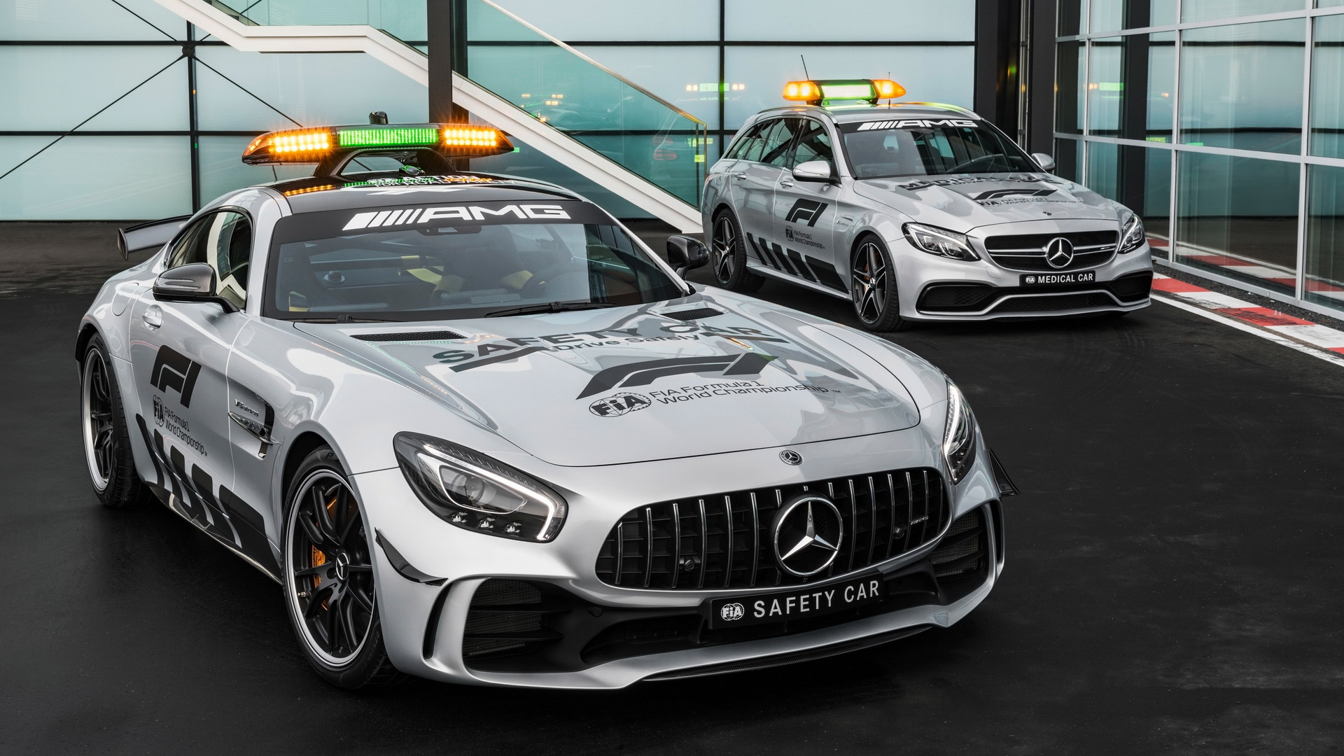 2018 Mercedes-AMG GT R FIA F1 Safety CarF1ȫ(ֽ13)