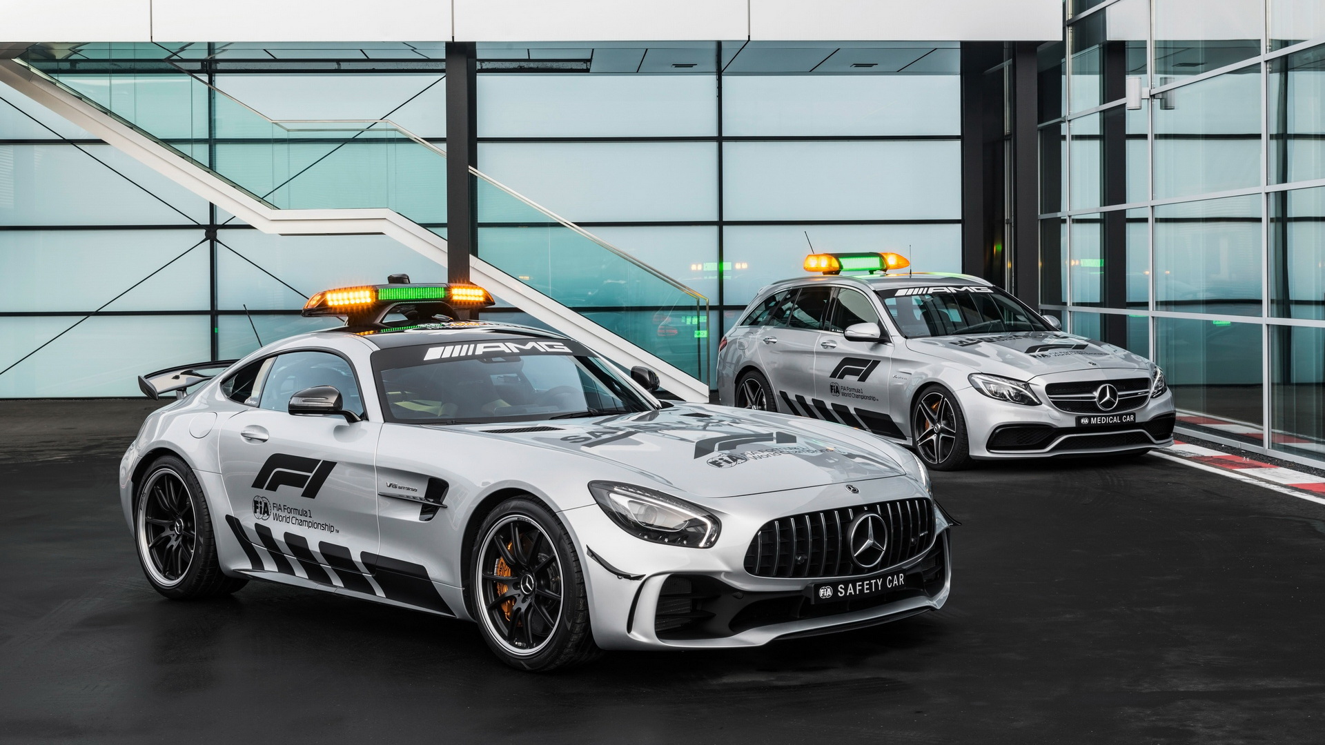 2018 Mercedes-AMG GT R FIA F1 Safety CarF1ȫ(ֽ14)
