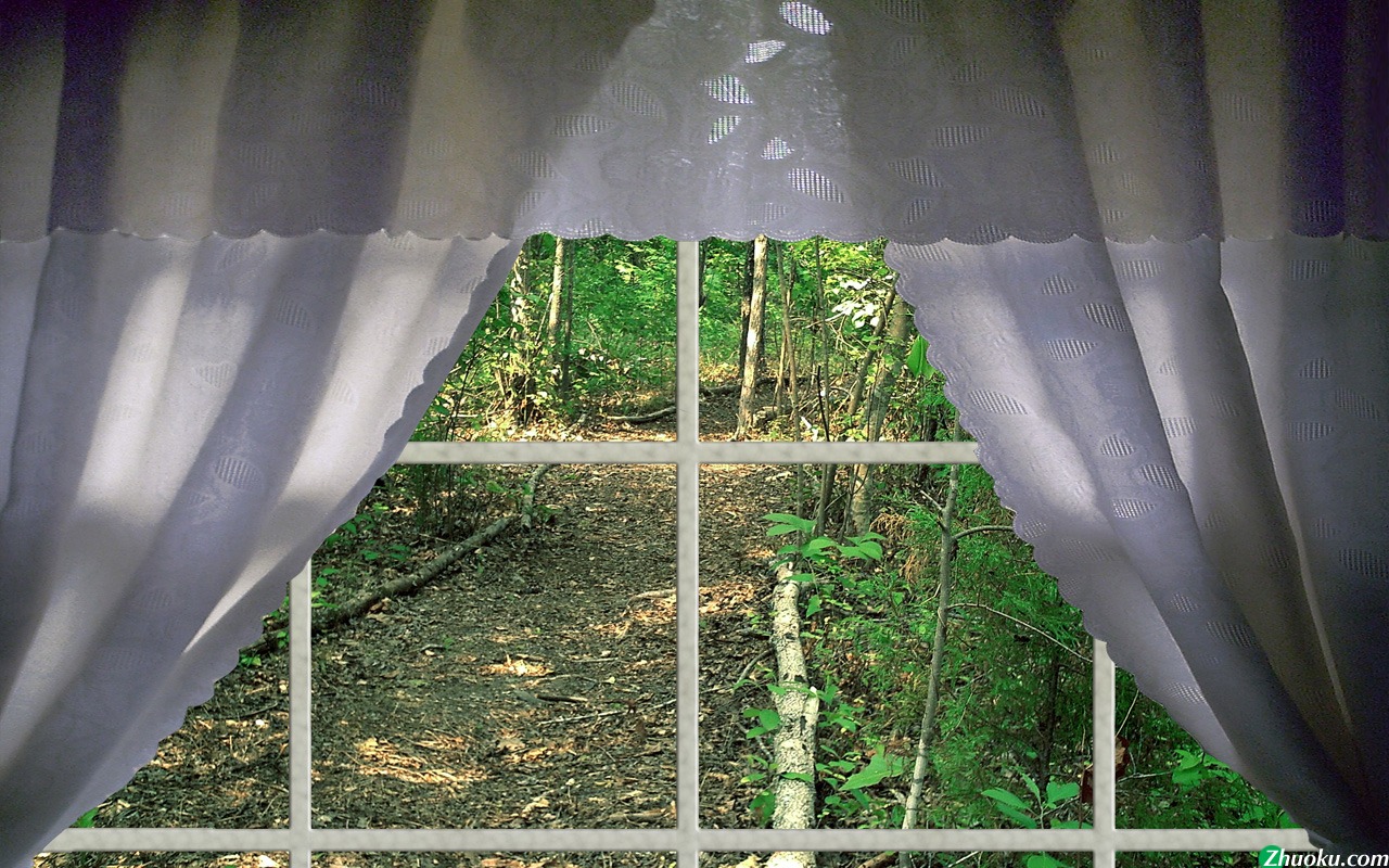 Woods in the Window(ֽ5)