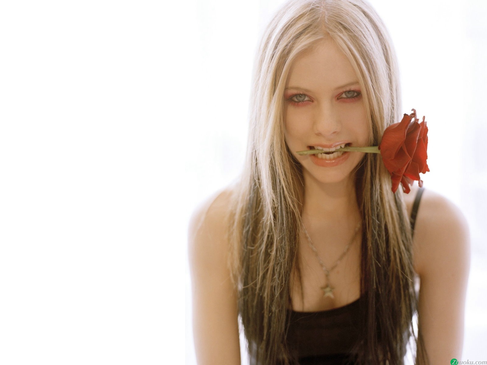 ޱ Avril Lavigne(ֽ77)