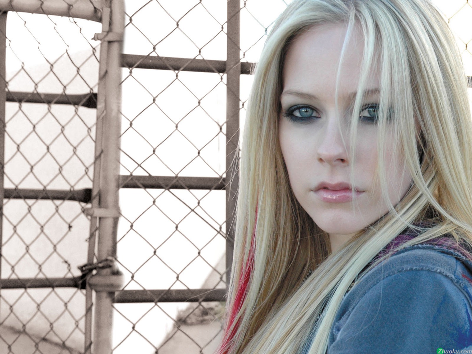 ޱ Avril Lavigne(ֽ94)