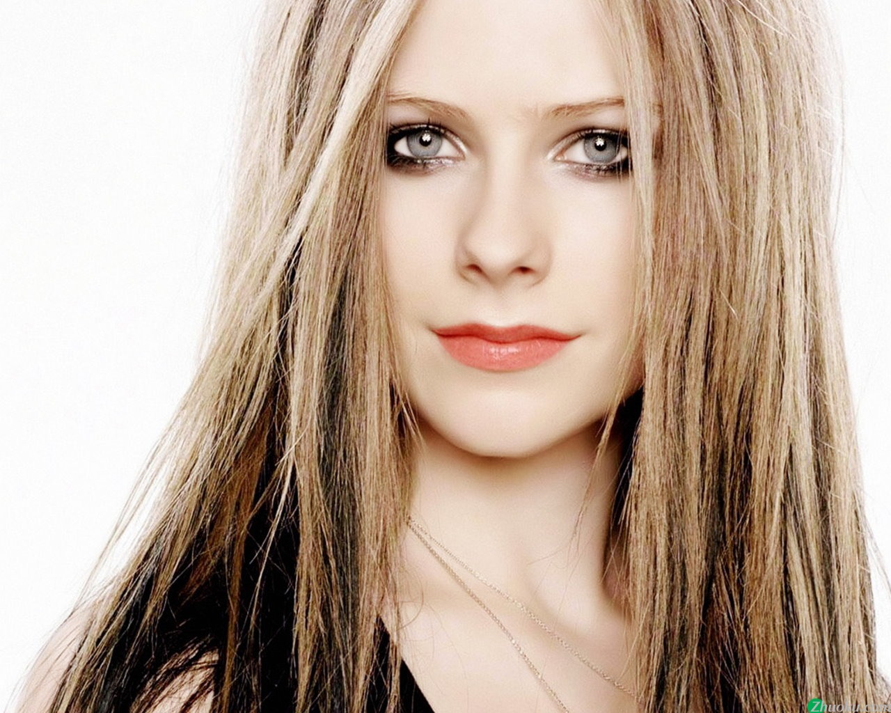 ޱ Avril Lavigne(ֽ145)