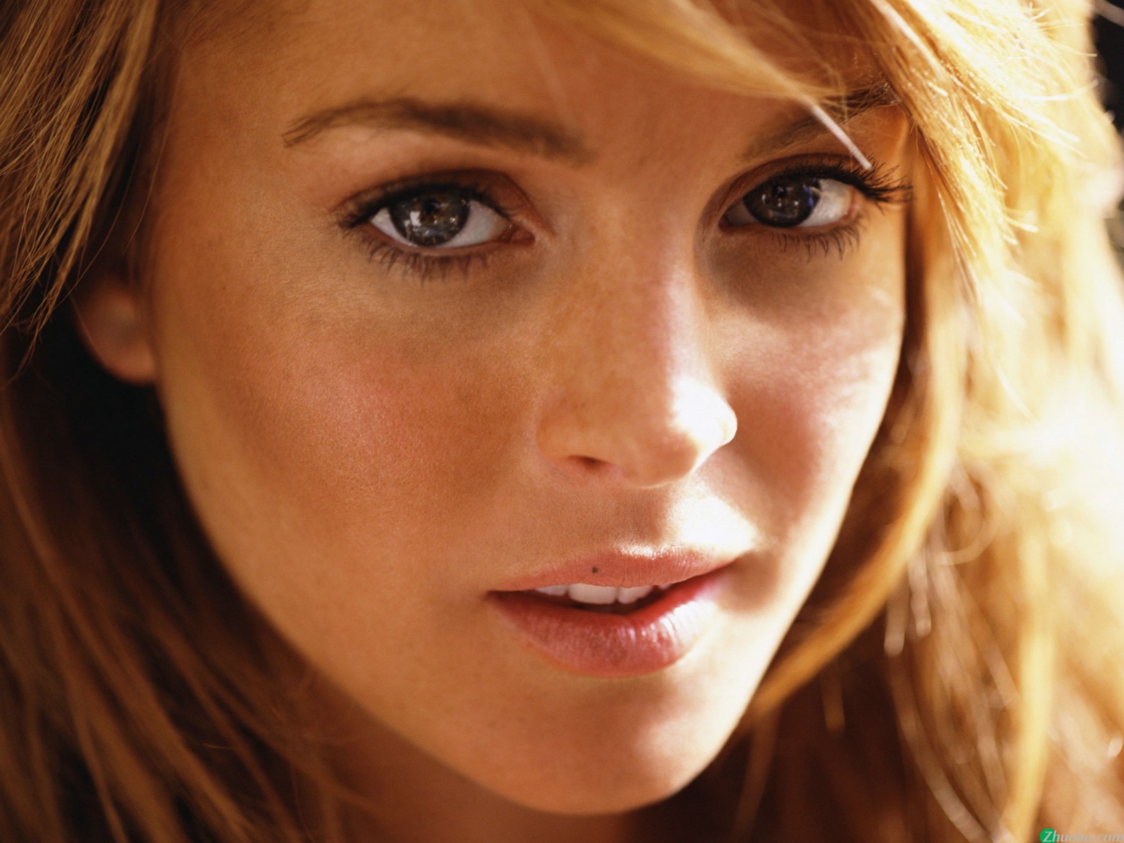 庲 Lindsay Lohan(ֽ86)