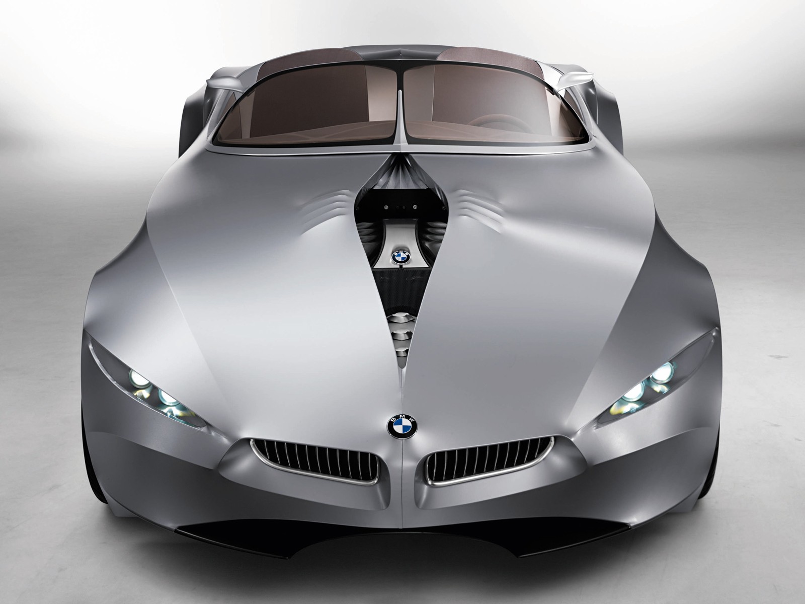 BMW GINA Light Visionary Model (ֽ15)