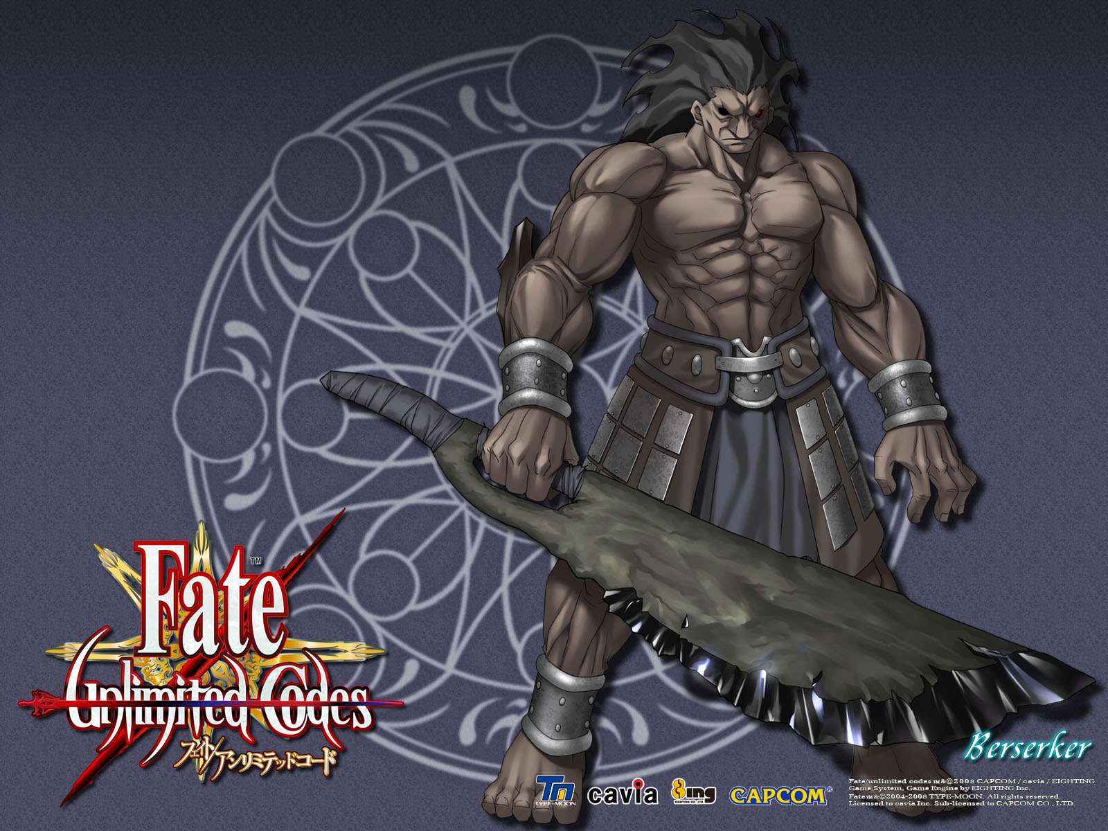 Fate/unlimited codes(ֽ3)