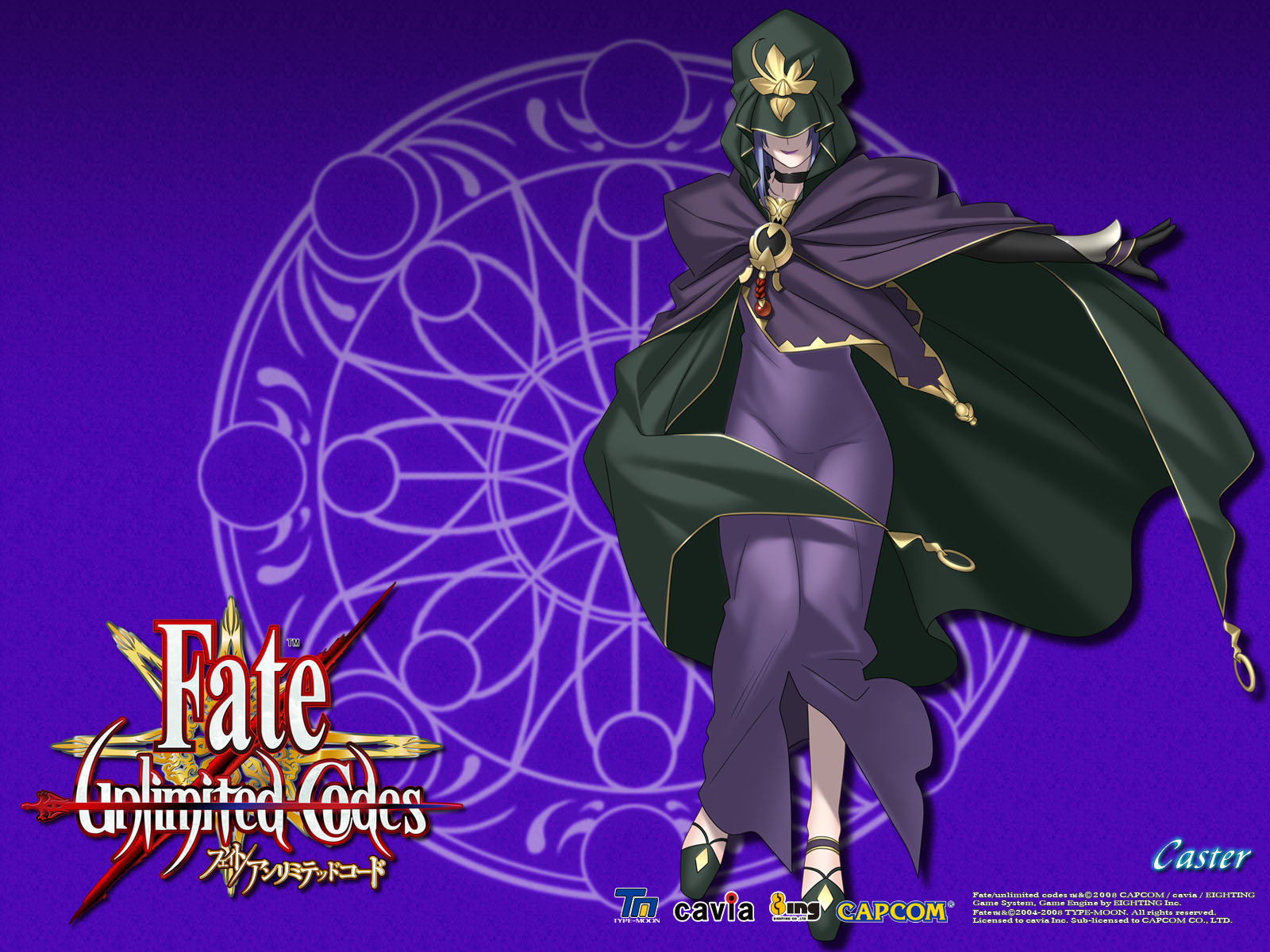 Fate/unlimited codes(ֽ5)