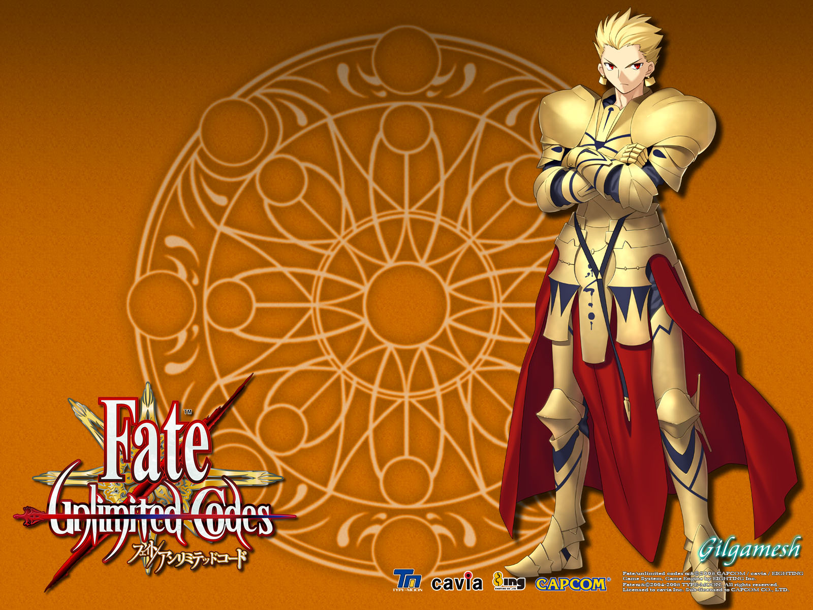 Fate/unlimited codes(ֽ8)