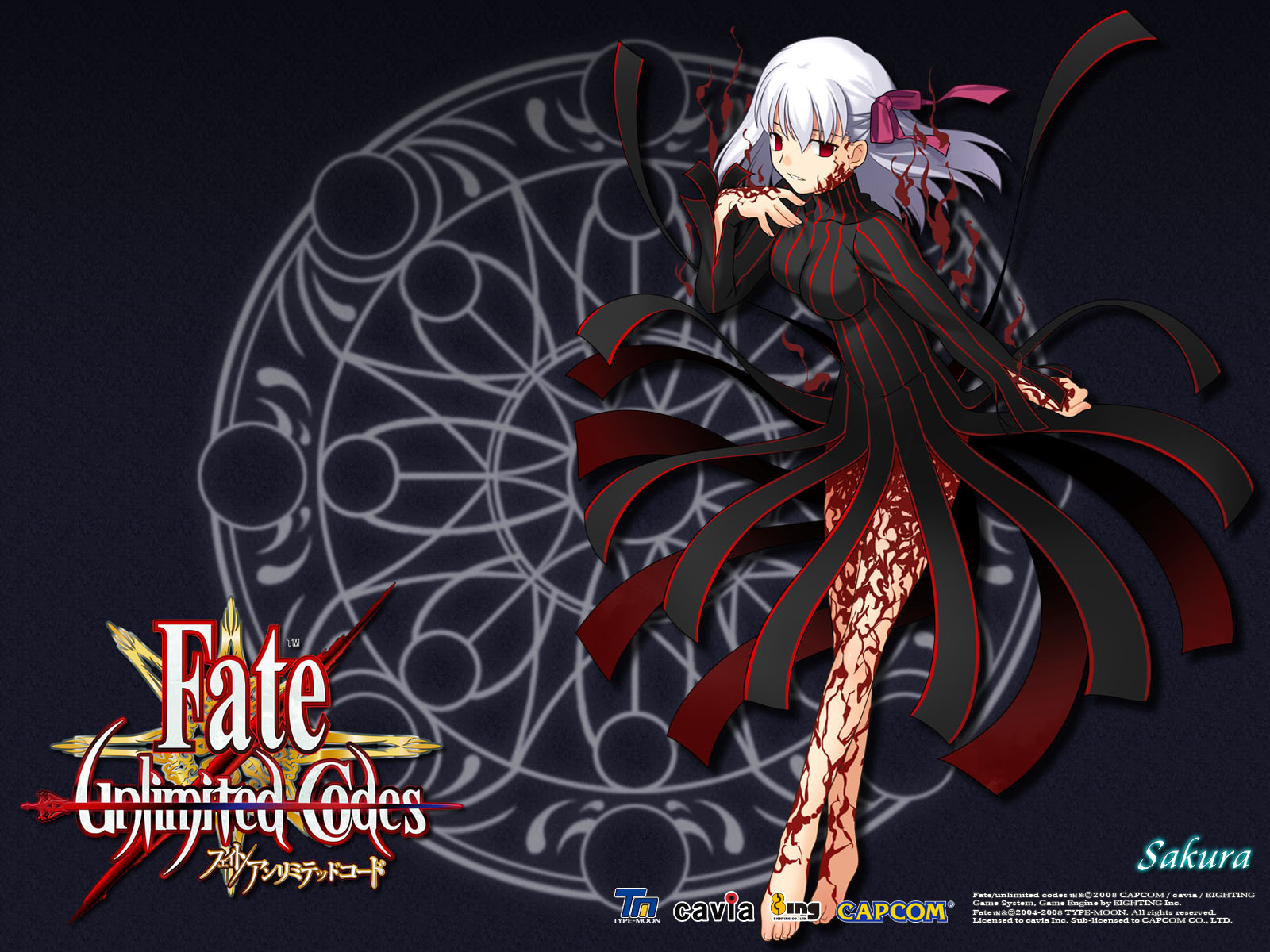 Fate/unlimited codes(ֽ11)