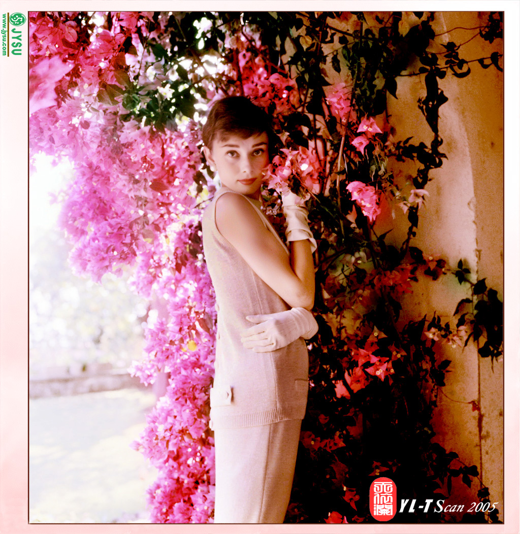 ʹ(Audrey Hepburn)(ֽ1)