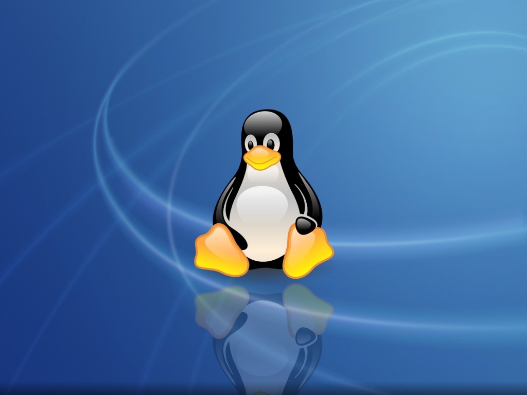Linuxֽ(ֽ10)