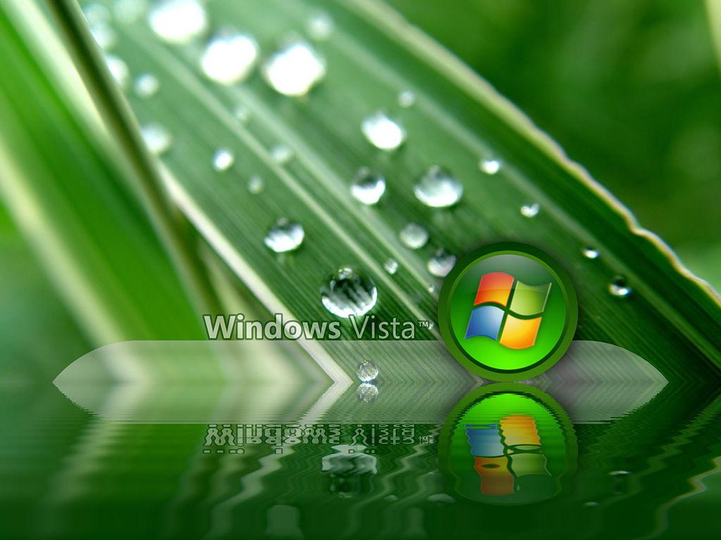 Windows Vistaѡ 1024x768(ֽ15)