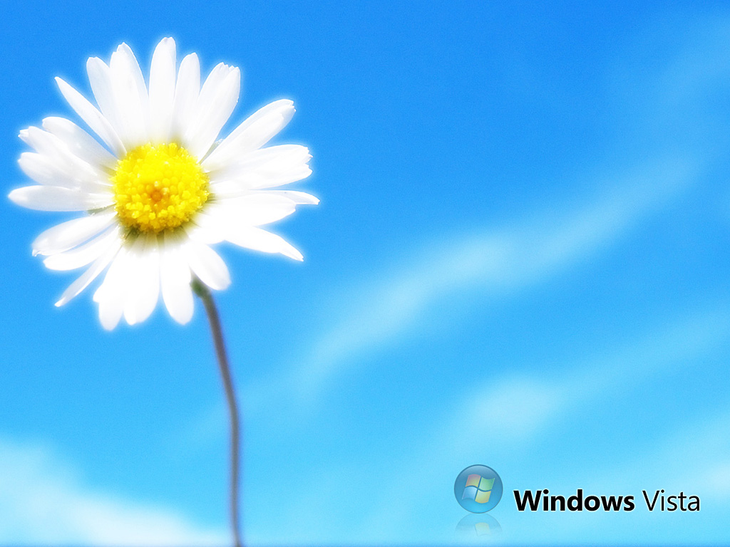 Windows Vistaѡ 1024x768(ֽ17)