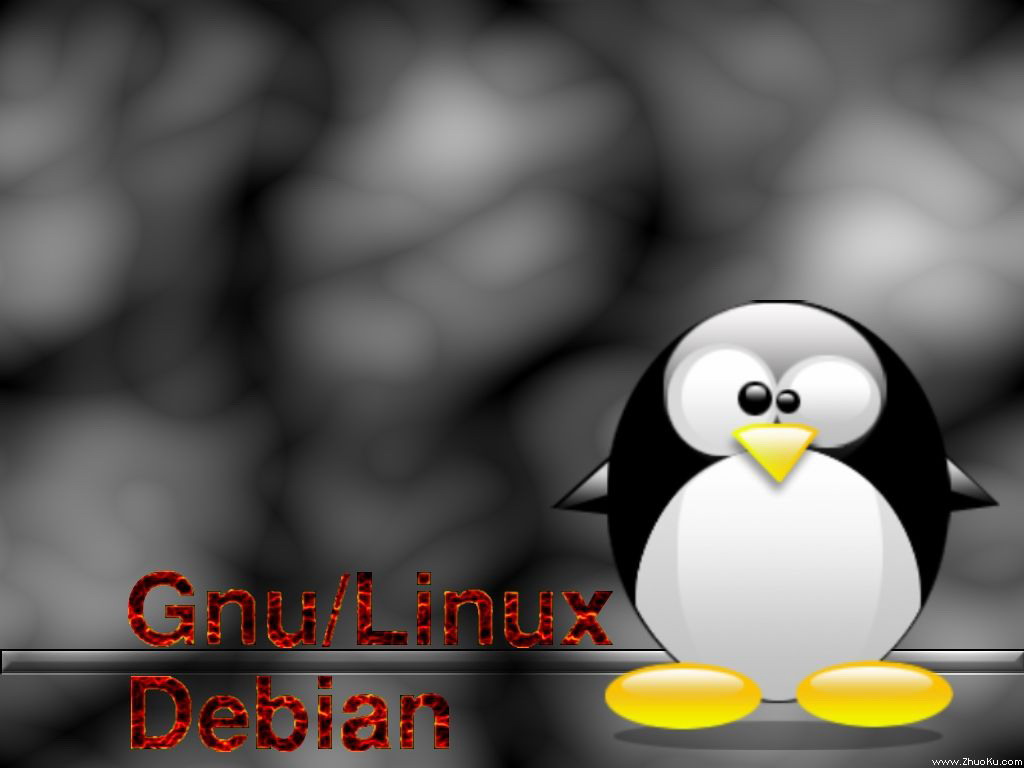 Debian Linuxϵͳֽ(ֽ18)