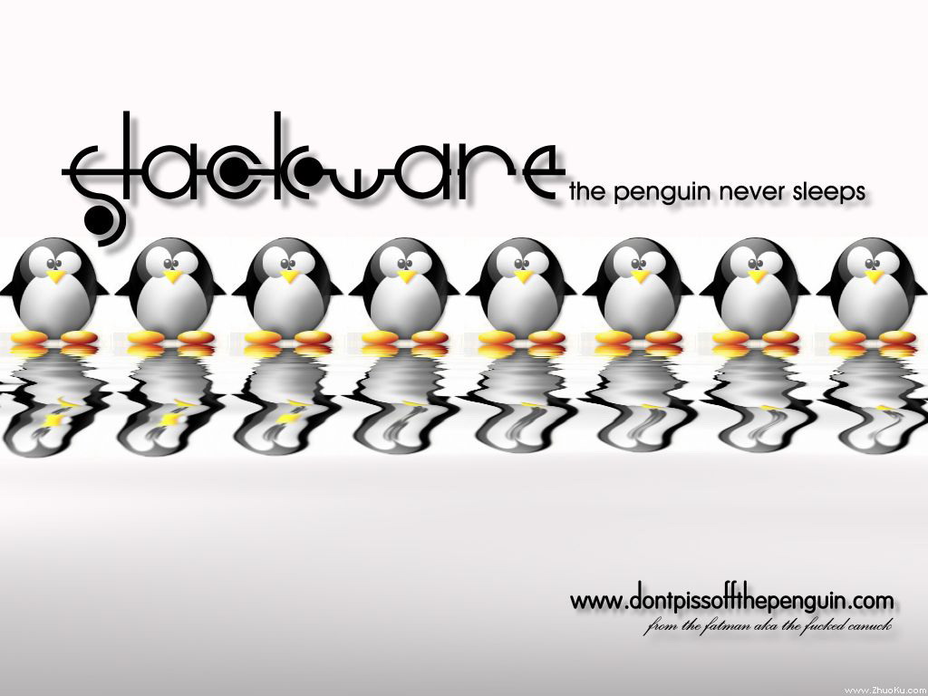 Slackware Linux 1024*768 1280*1024 1600*1200(ֽ23)