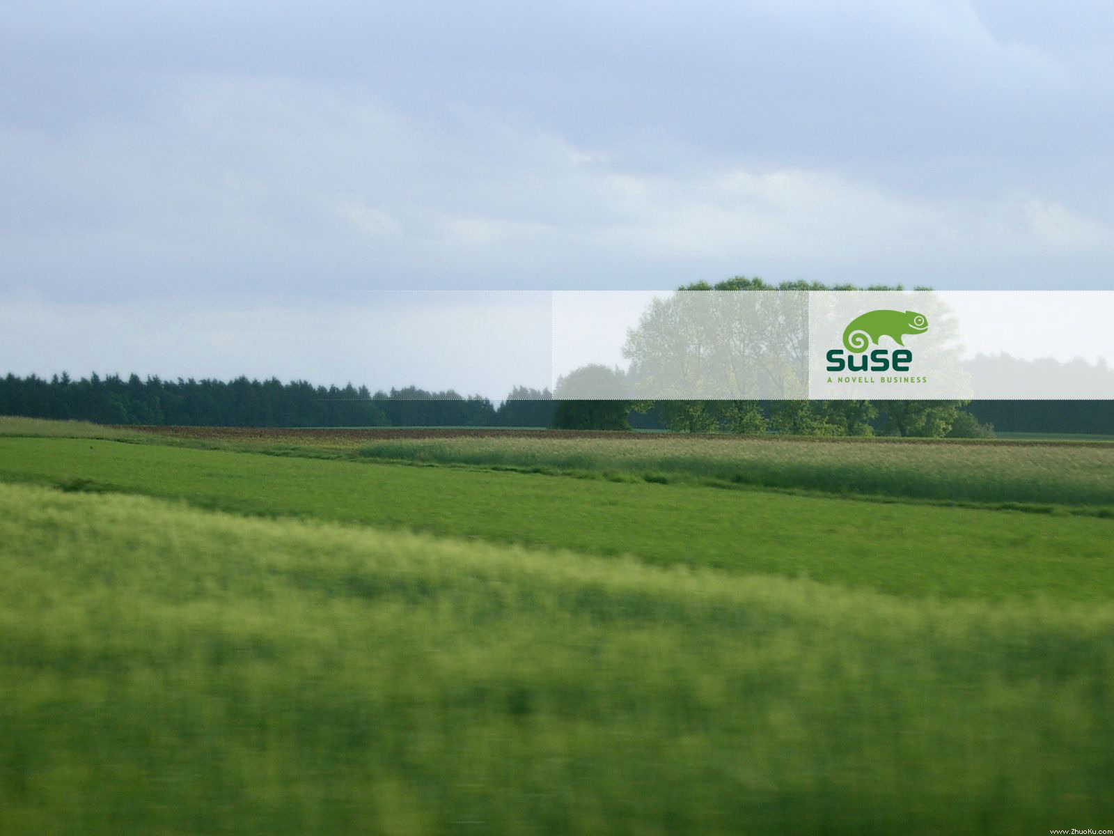 suse linux ֽ 1024*768 1280*1024 1600*1200(ֽ25)