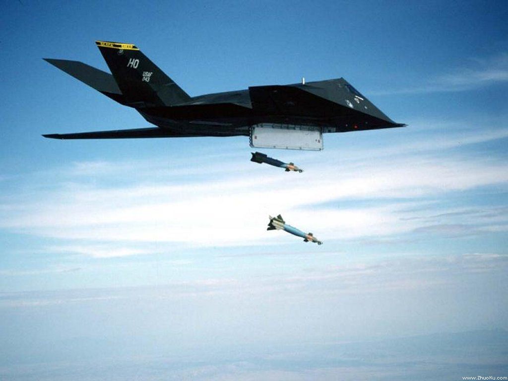 F-117A Nighthawkҹӥսֽ(ֽ24)