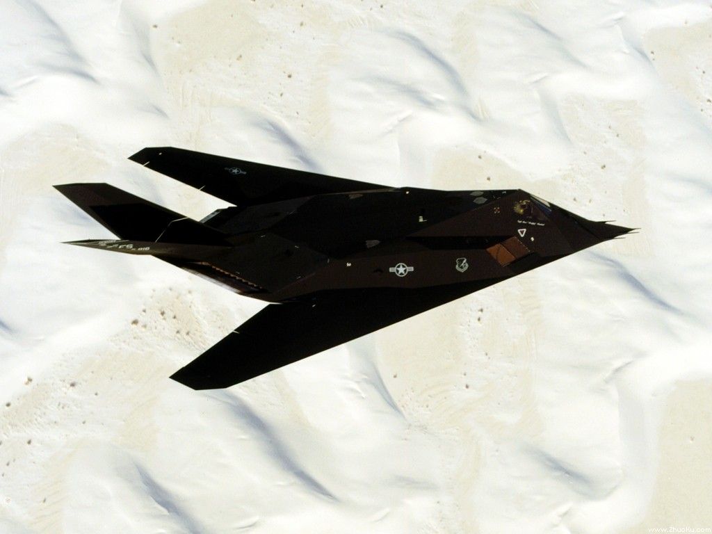 F-117A Nighthawkҹӥսֽ(ֽ27)