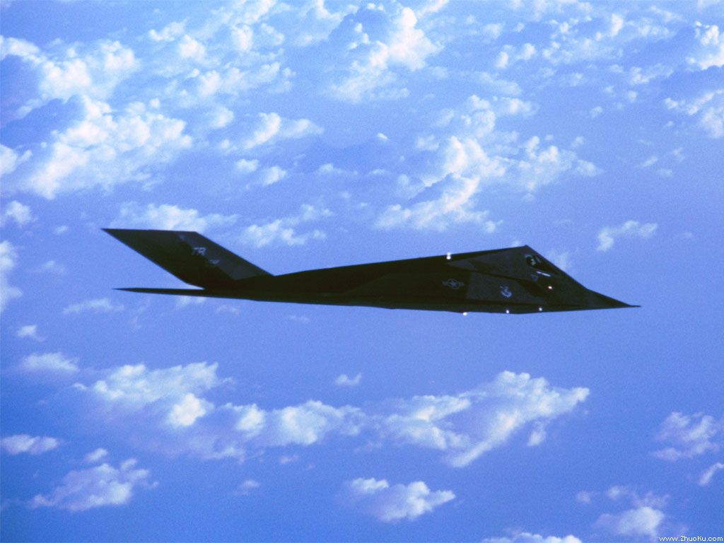 F-117A Nighthawkҹӥսֽ(ֽ36)