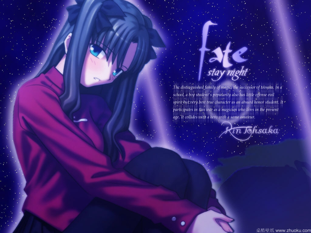 Fate/stay night(ֽ20)