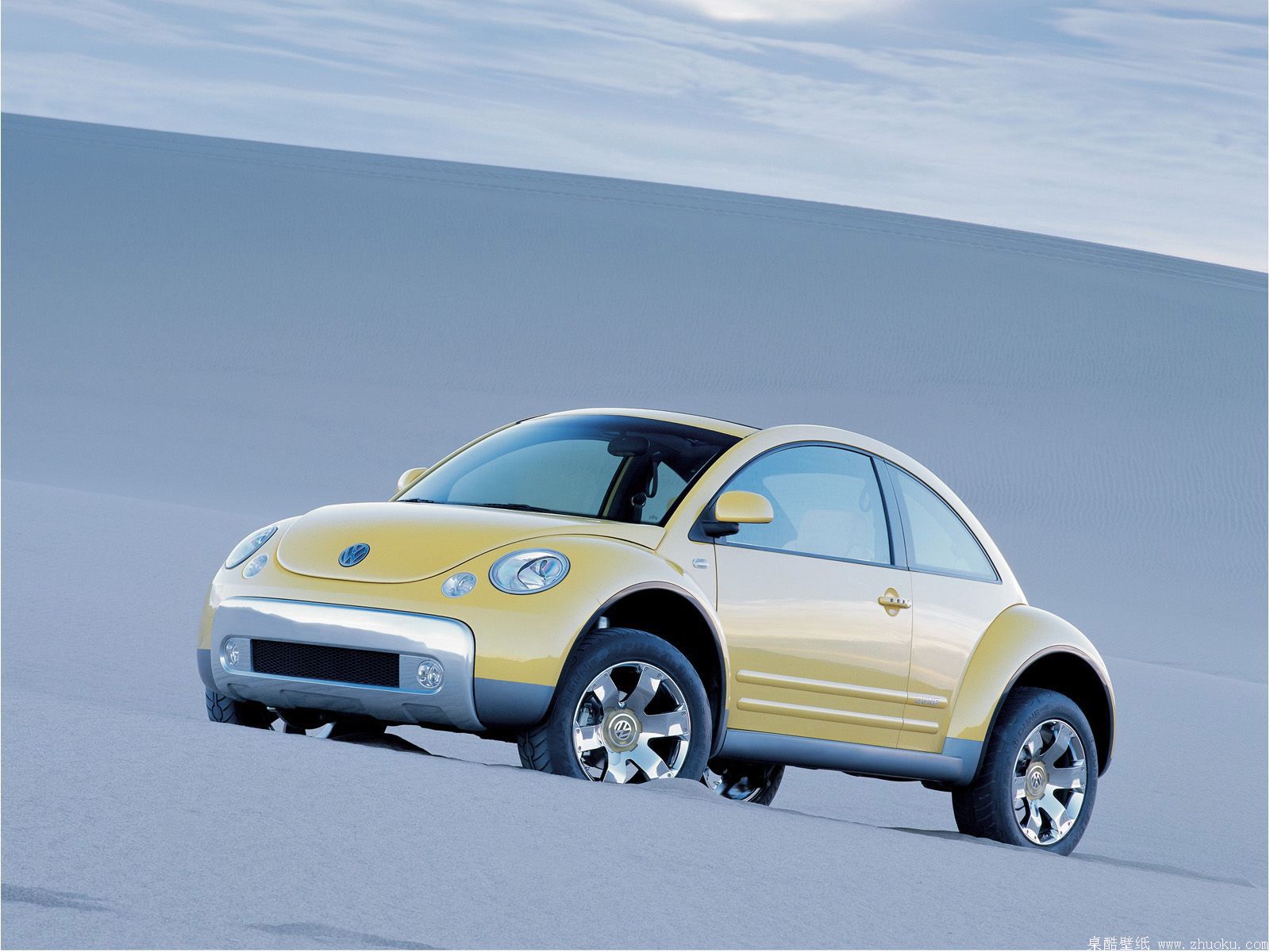 New-Beetle-Duneֽ  1600*1200(ֽ15)