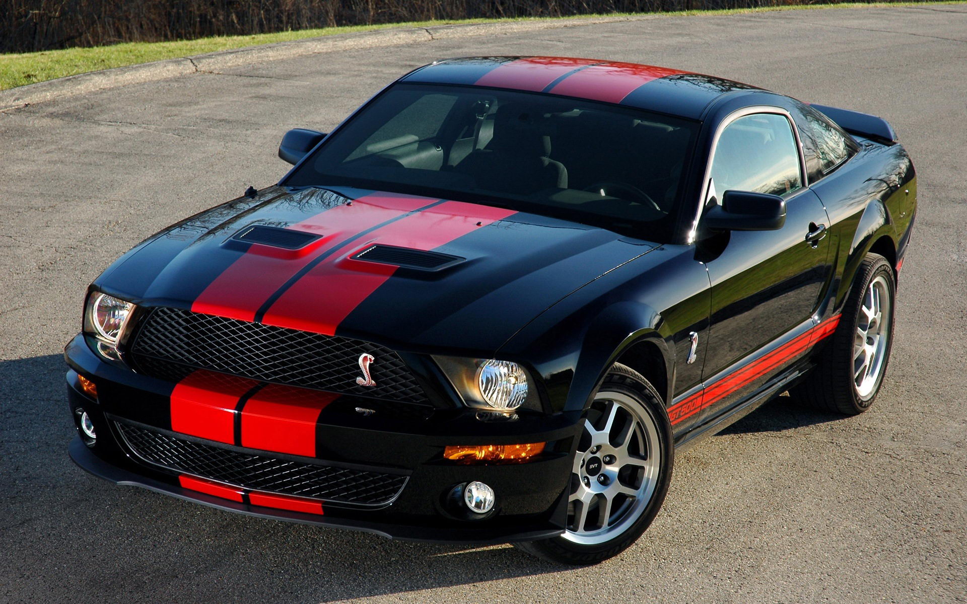 ҰShelby GT500()(ֽ1)