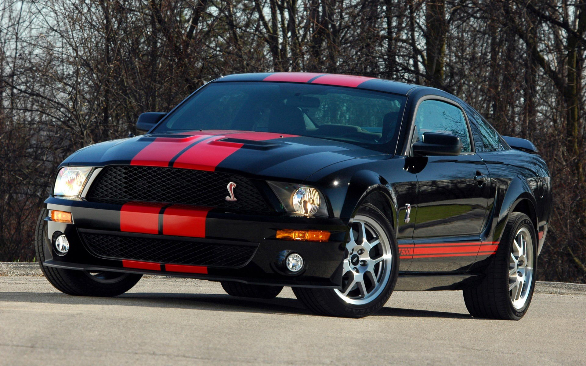 ҰShelby GT500()(ֽ2)