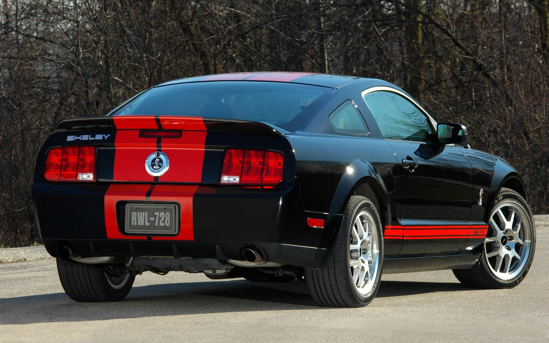 ҰShelby GT500()(ֽ3)