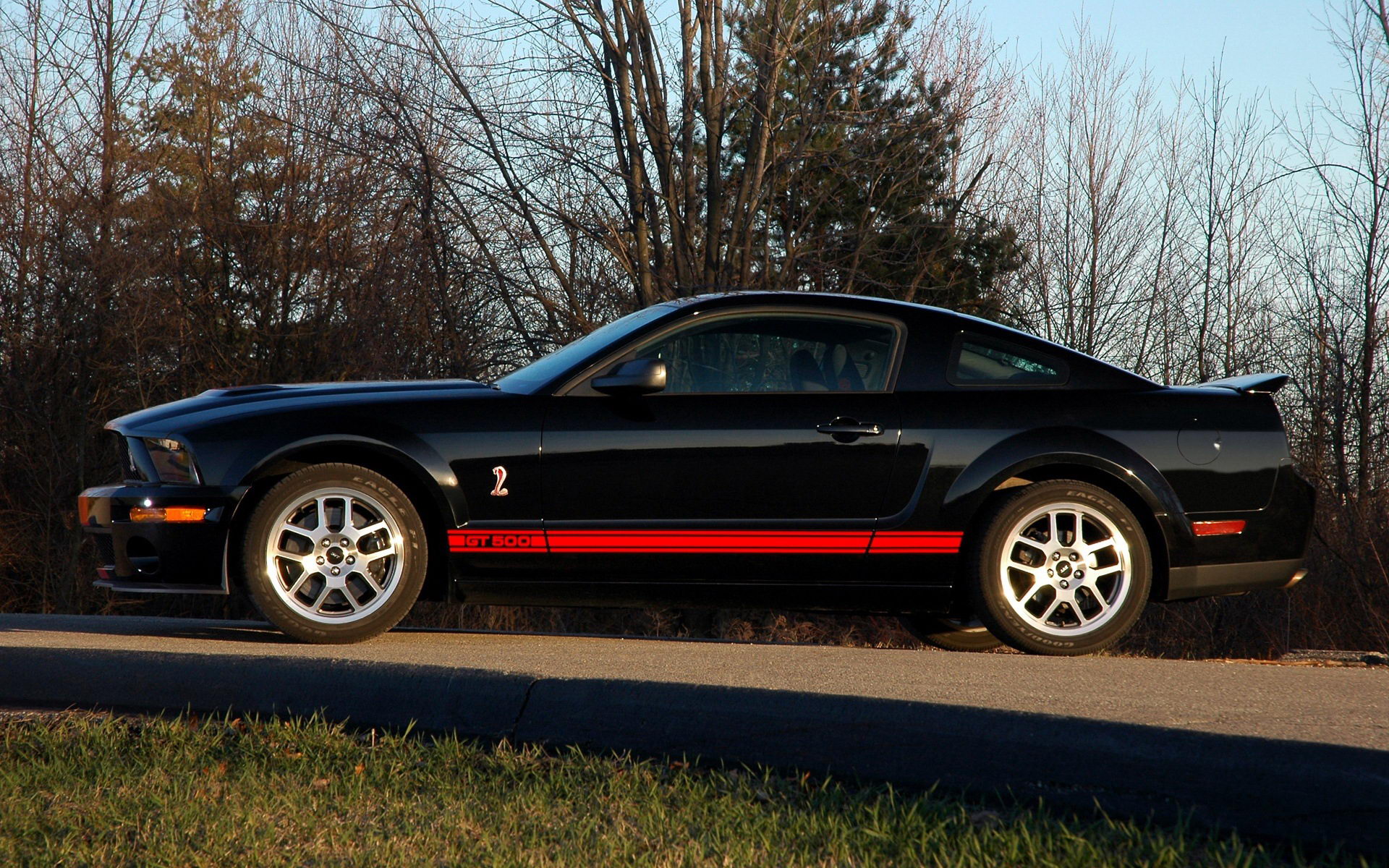 ҰShelby GT500()(ֽ4)