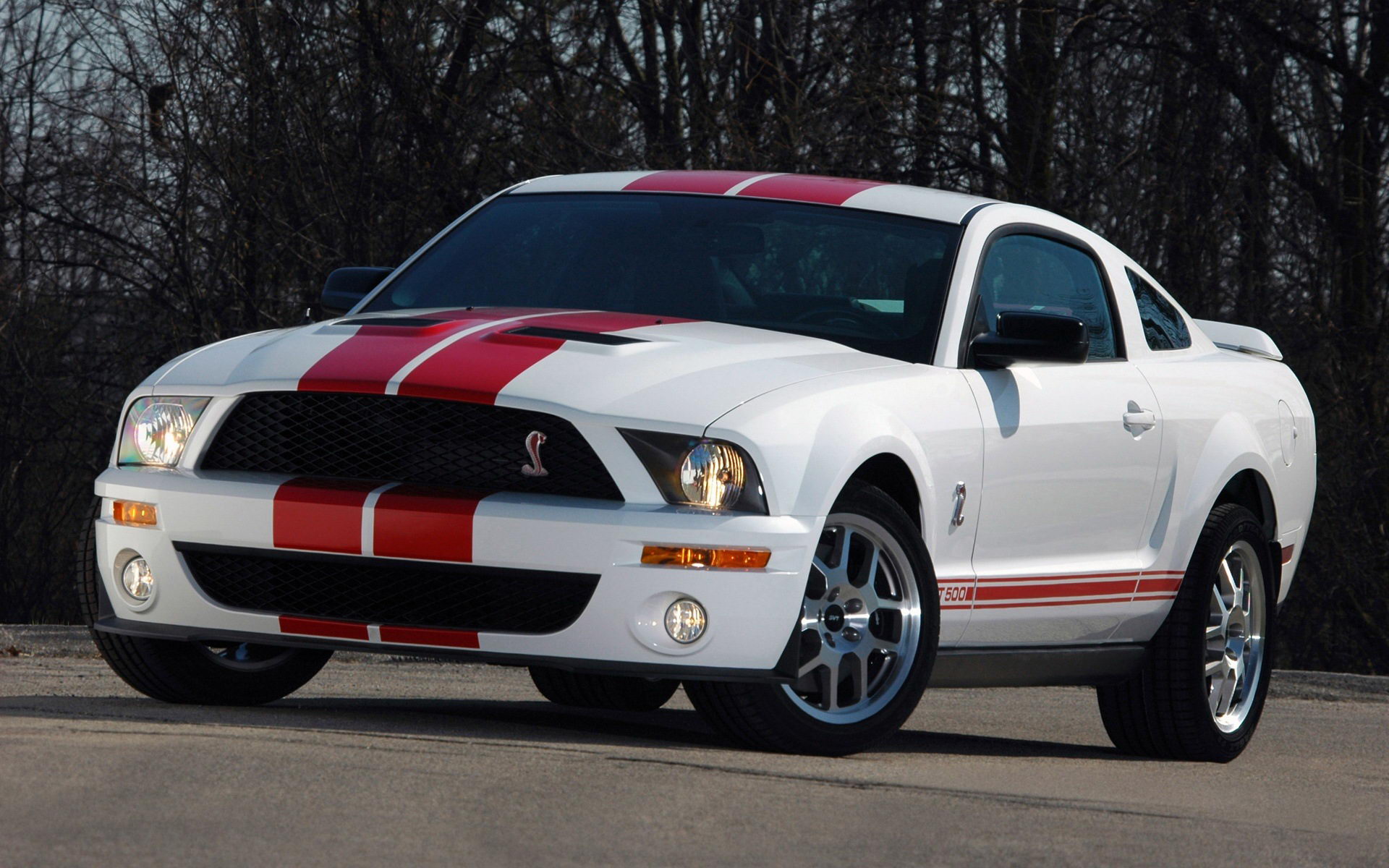 ҰShelby GT500()(ֽ5)