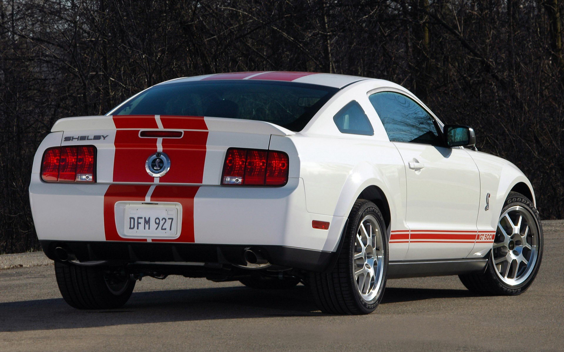 ҰShelby GT500()(ֽ6)