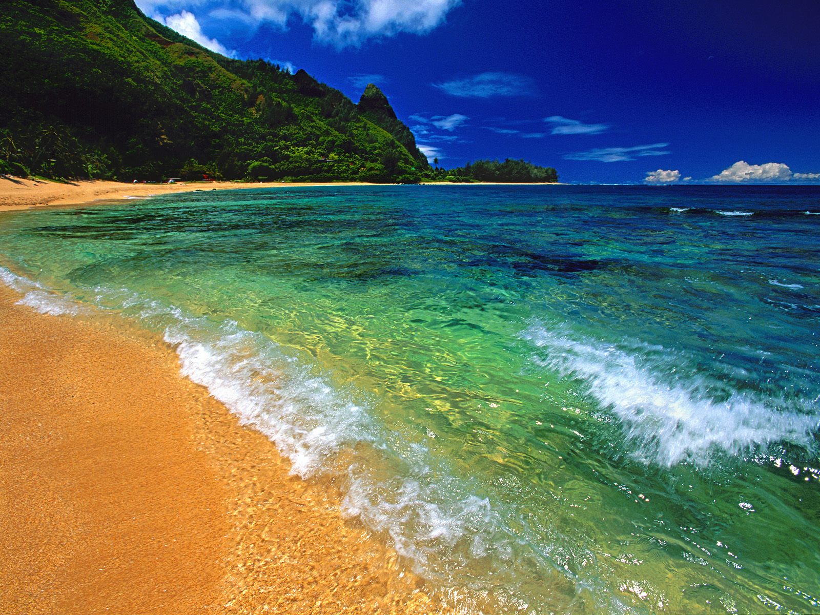 夏威夷海滩风光 - 好友 - 爱之家