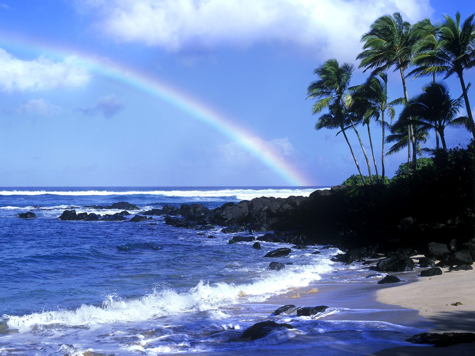 夏威夷海滩风光
