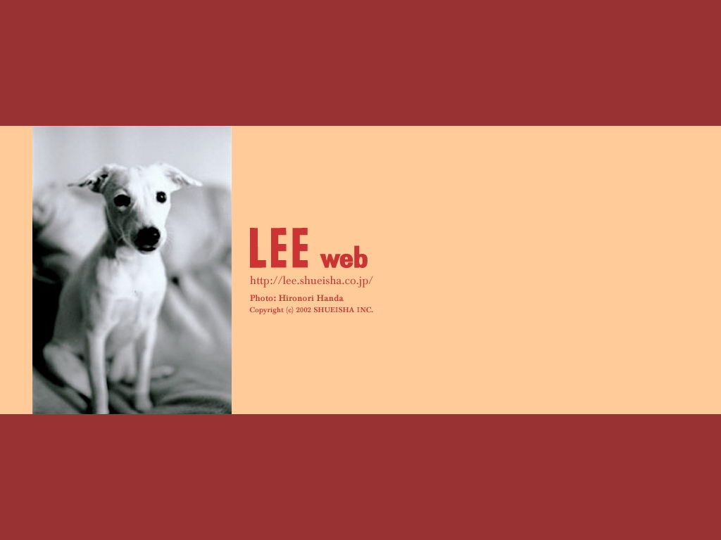 LEE WEB()(ֽ46)
